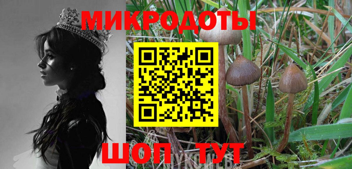 сколько стоит  Вход с VPN  Тихорецк  Псилоцибиновые грибы Psilocybine cubensis 