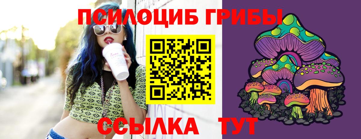 Псилоцибиновые грибы мухоморы Тихорецк